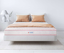 Sleepwell Mattresses