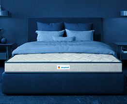 Sleepwell Mattresses